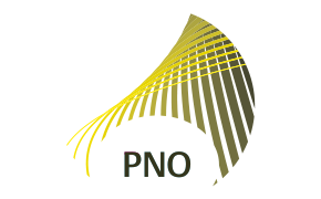 PNO CONSULTANTS